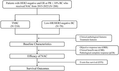 Comparison of neoadjuvant chemotherapy response and prognosis between HR-low/HER2-negative BC and TNBC: an exploratory real-world multicentre cohort study